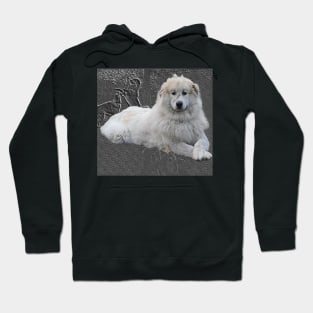 Pyrenees mountain dog in greybackground. Hoodie